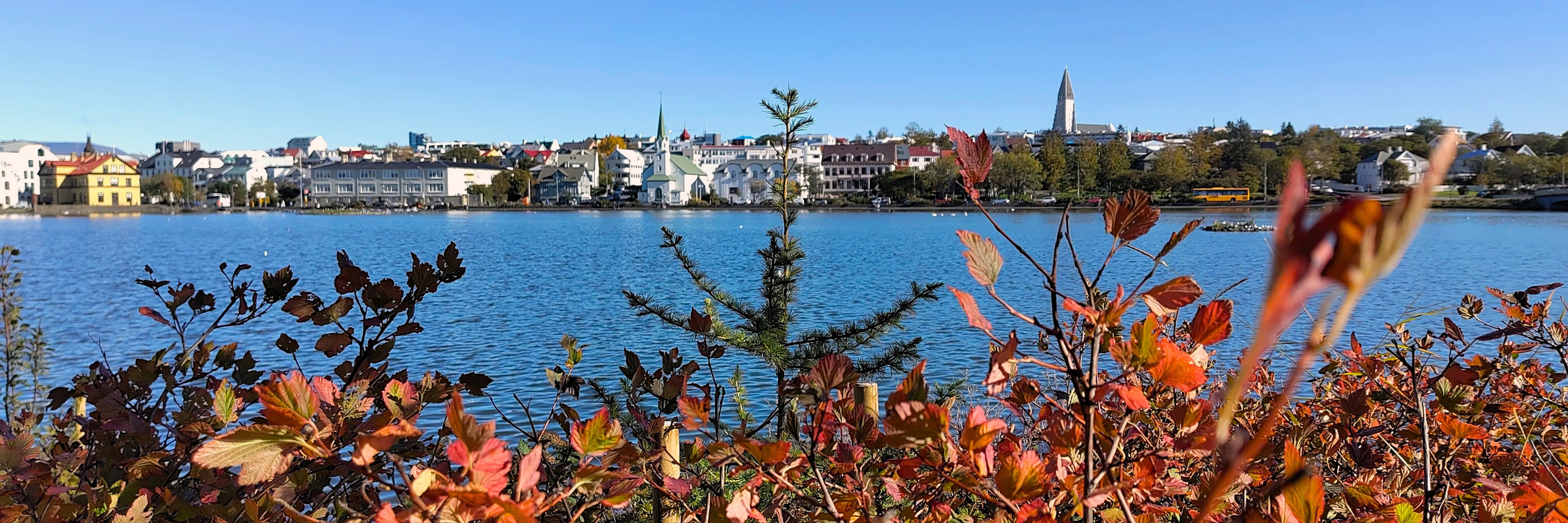 Top Things To Do In Reykjavik Iceland In October top-things-to-do-in-reykjavik-iceland-in-october